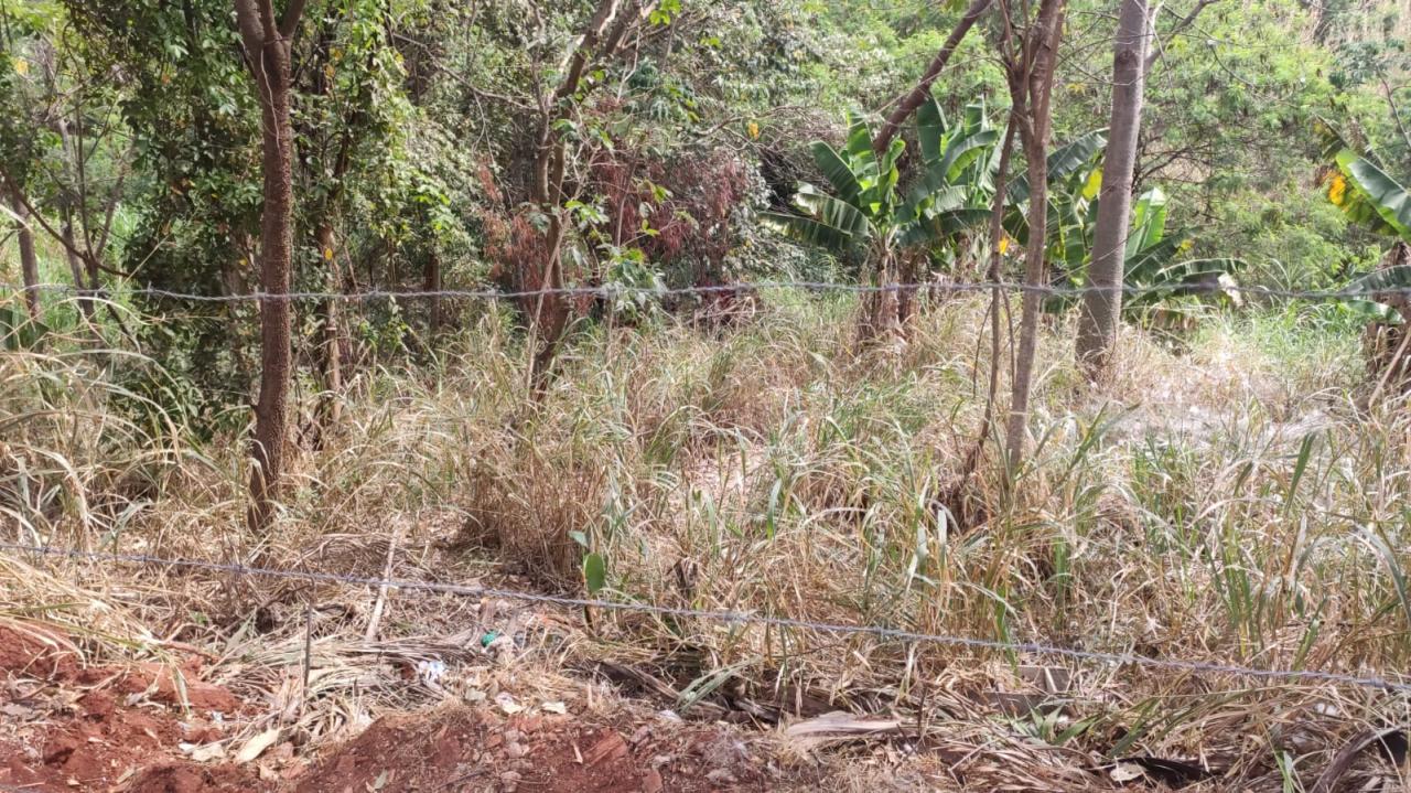 Foto 3 de 4 — Corpo em decomposição é encontrado em mata de Araraquara